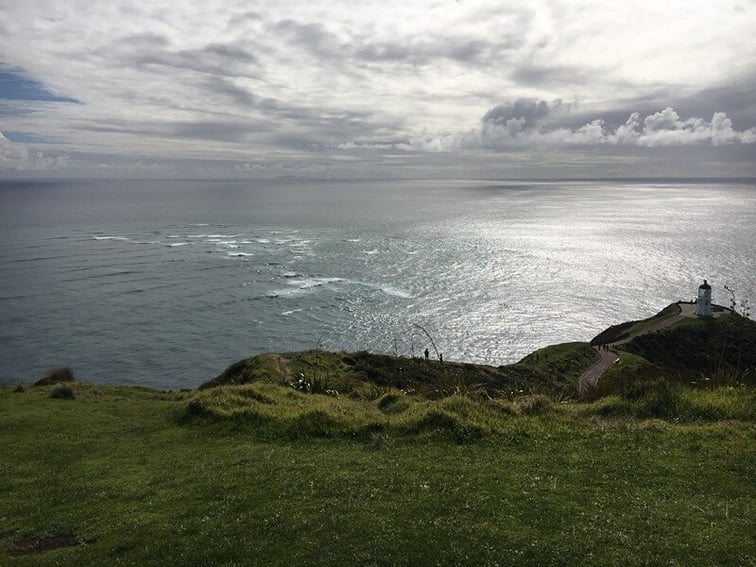View from moho