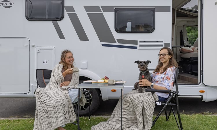 Carado V337 2025 Outdoor with dog