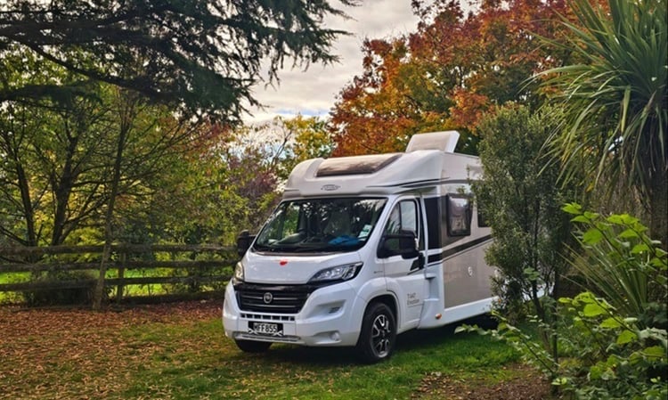 T447 in the bushes parked