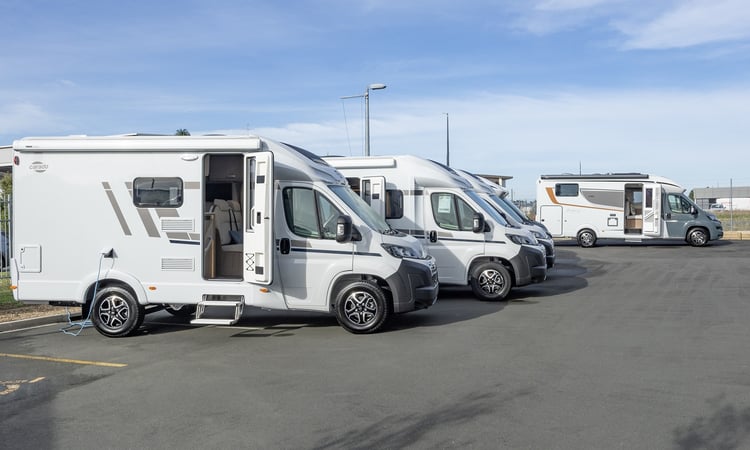 Wilderness Sales Auckland yard
