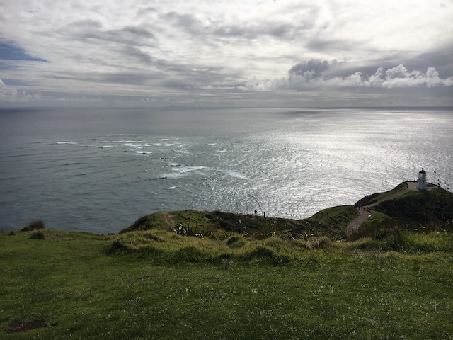 For the perfect New Zealand vacation, visit Cape Reinga where the Tasman Sea meets the Pacific Ocean