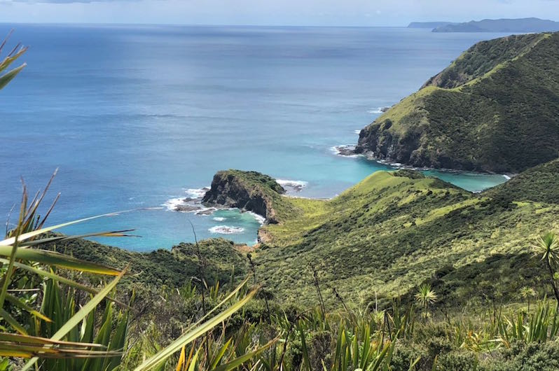 New Zealand wilderness