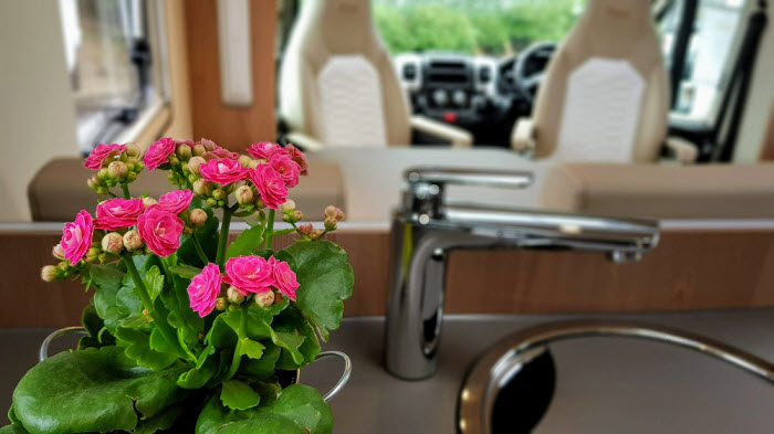 Plants for your Motorhome