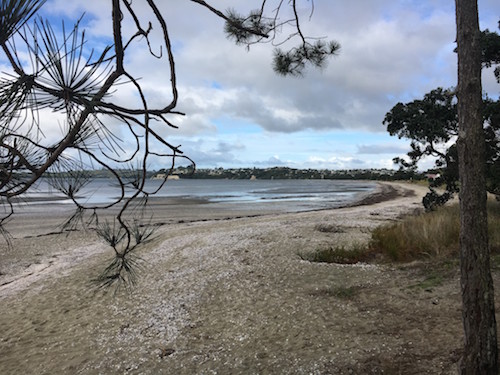 The quaint coastal town in the north of Auckland perfect for biking, walking and motor-homing